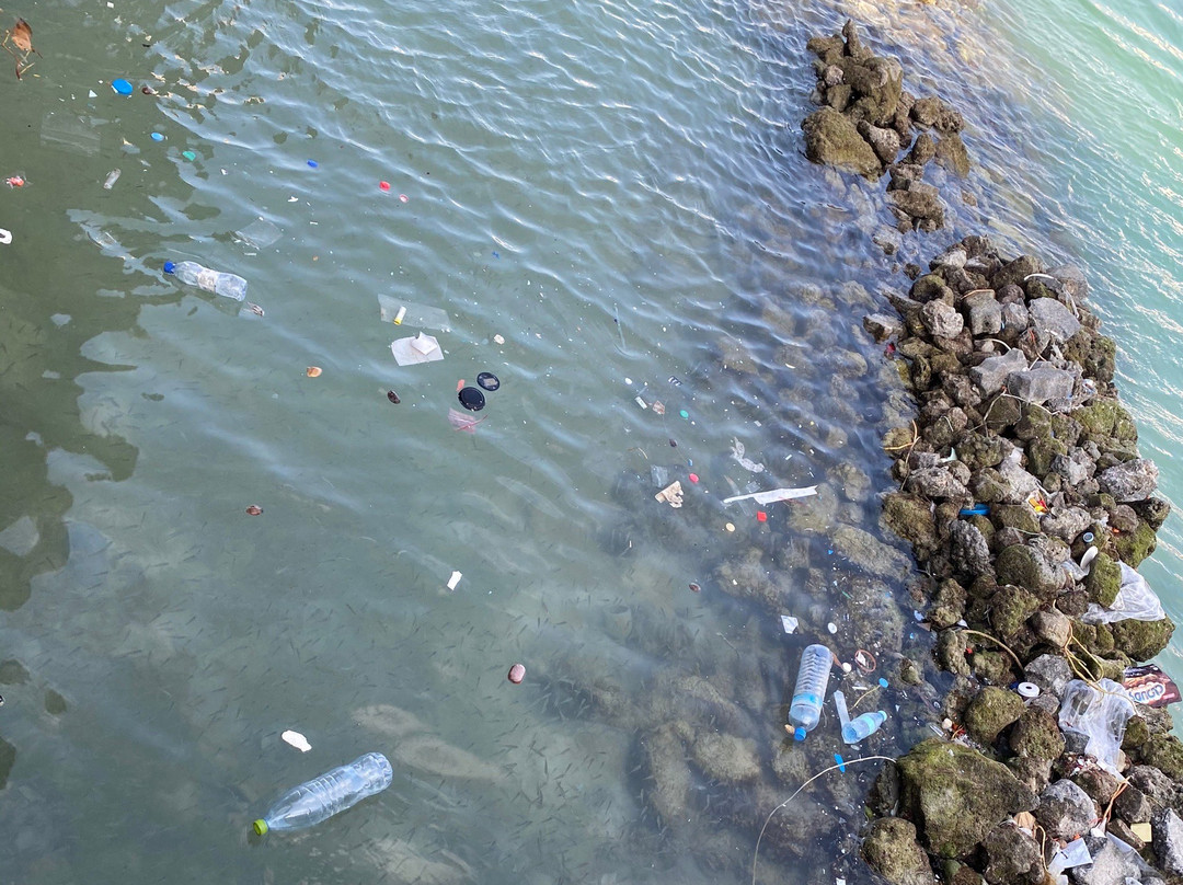 Artificial Beach-马累必去景点