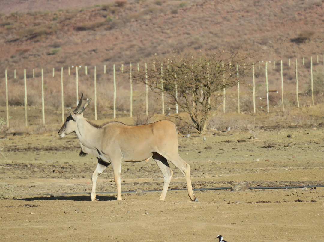 Burgsdorf Guest Farm主图
