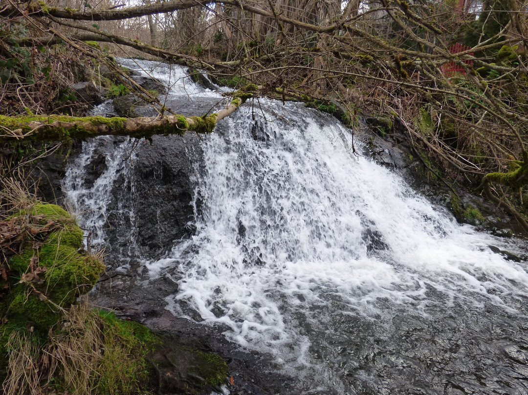Cascade des Saliens景点图片