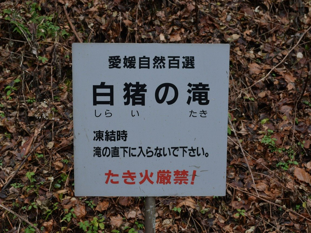 Shirainotaki Falls-东温市必去景点