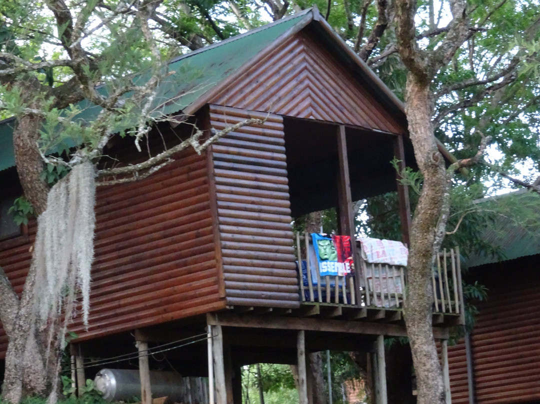 Hippo Water Front主图