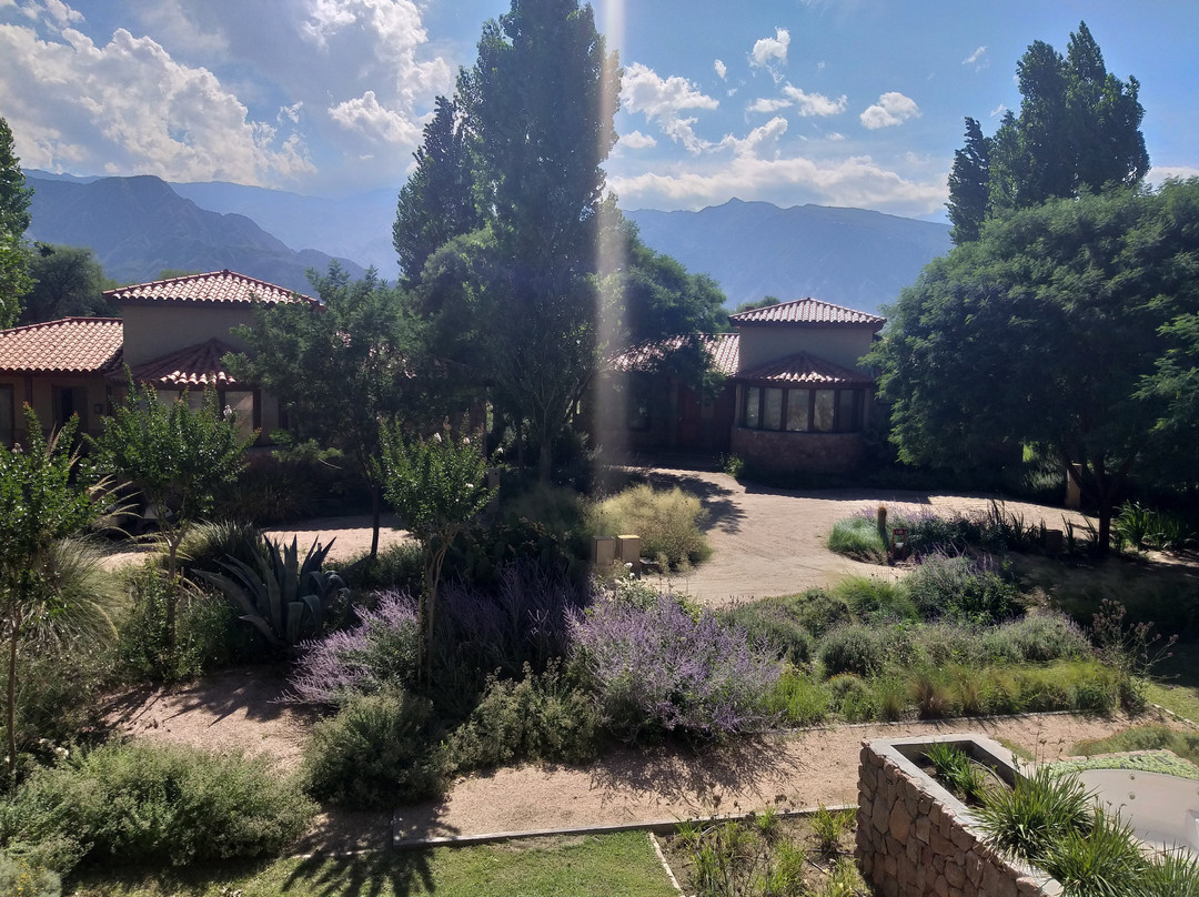 Grace Cafayate主图