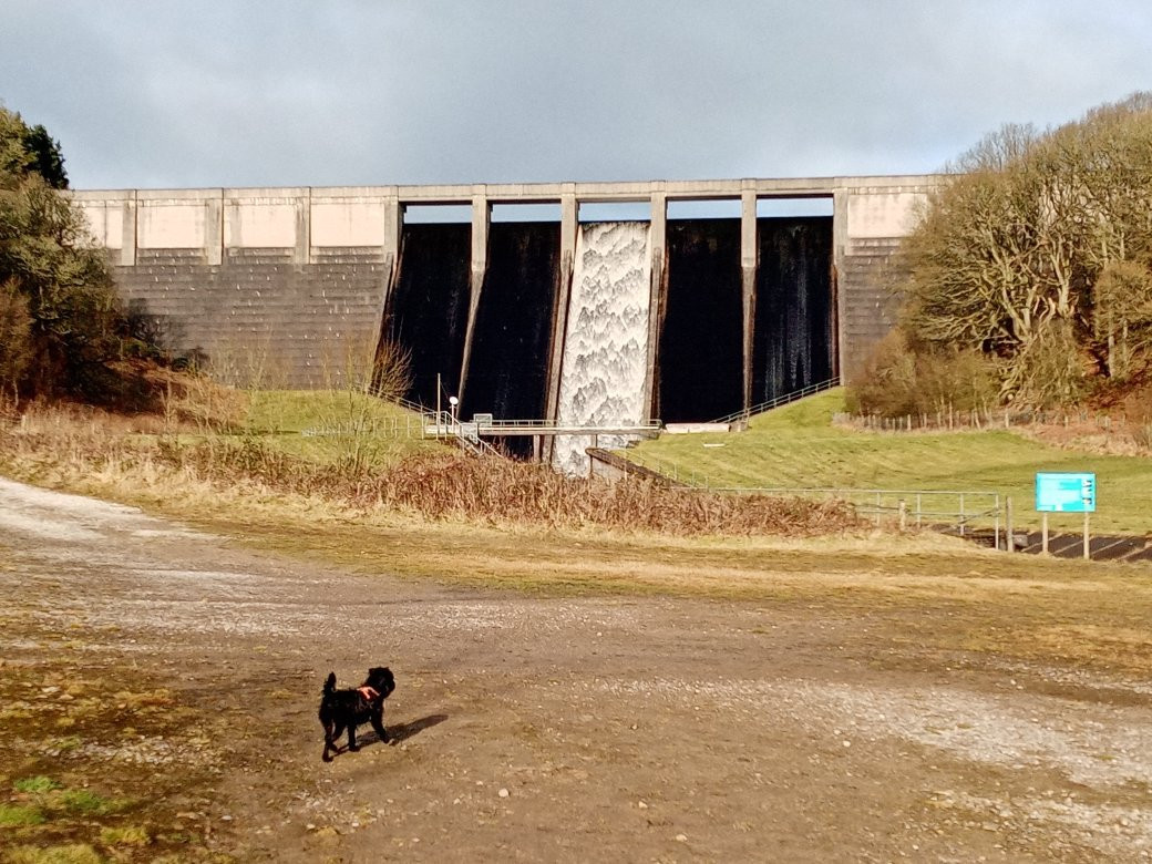 Thruscross Reservoir景点图片