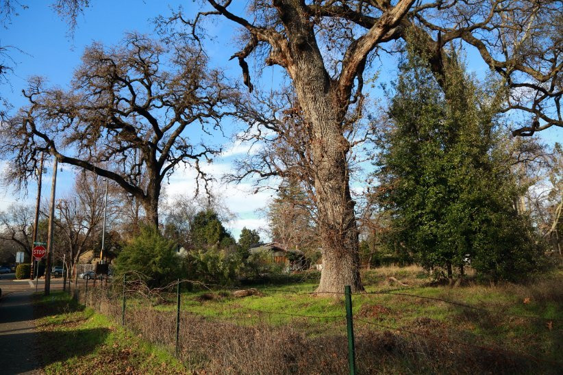 比德韦尔公园-奇科必去景点