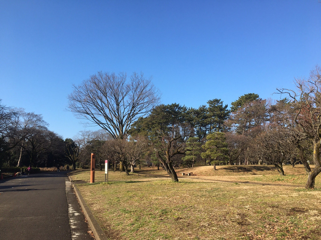 Tokyo Metropolitan Koganei Park景点图片