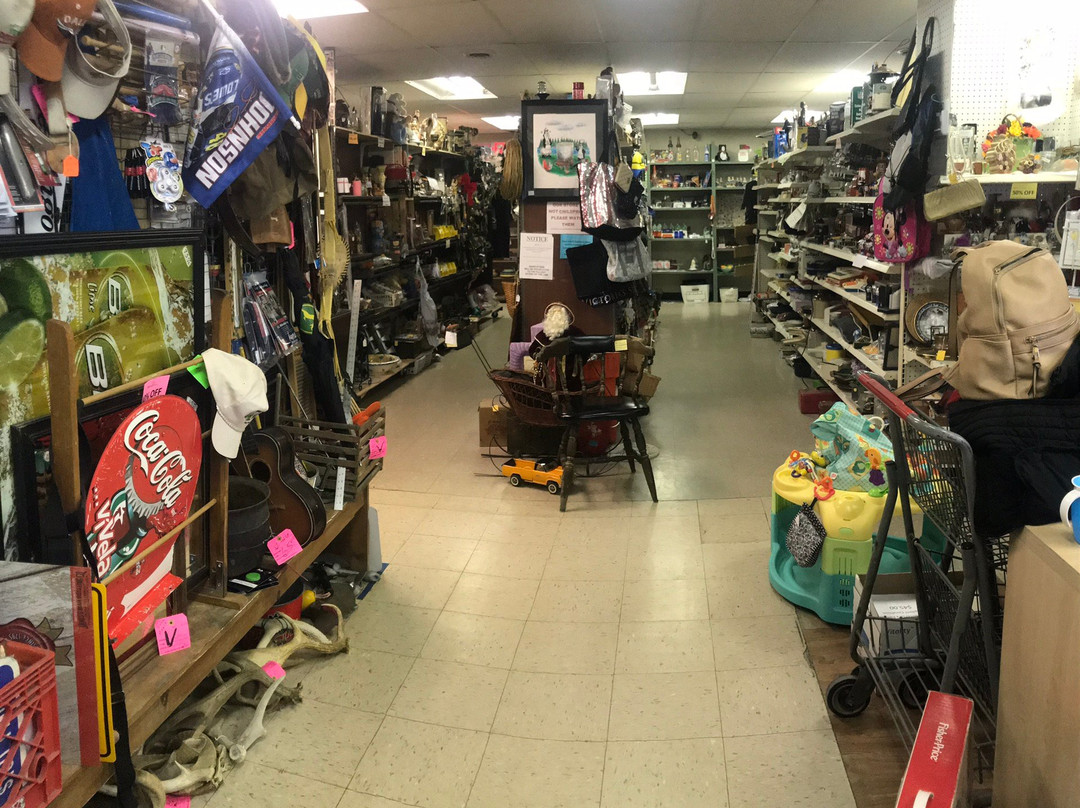 Shaggy's Indoor Flea Market景点图片
