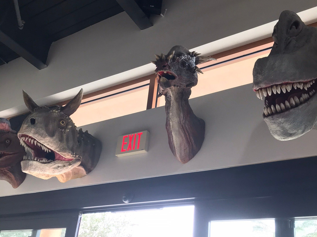 The Dinosaur Store景点图片
