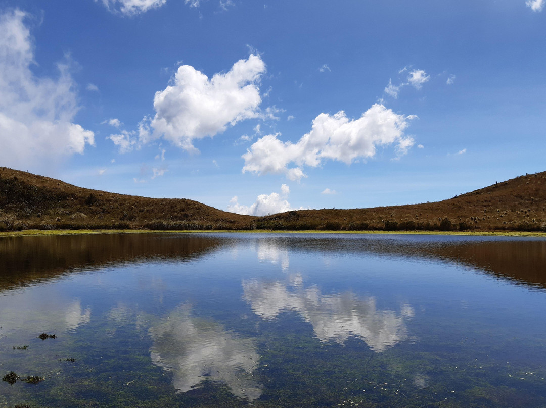 Cascada Sagrada-Pijao必去景点