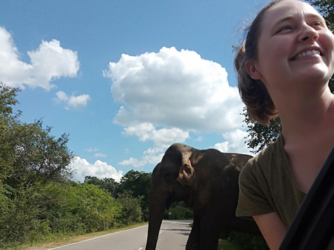 Lanka Grand Tours-蒂瑟默哈拉默必去景点