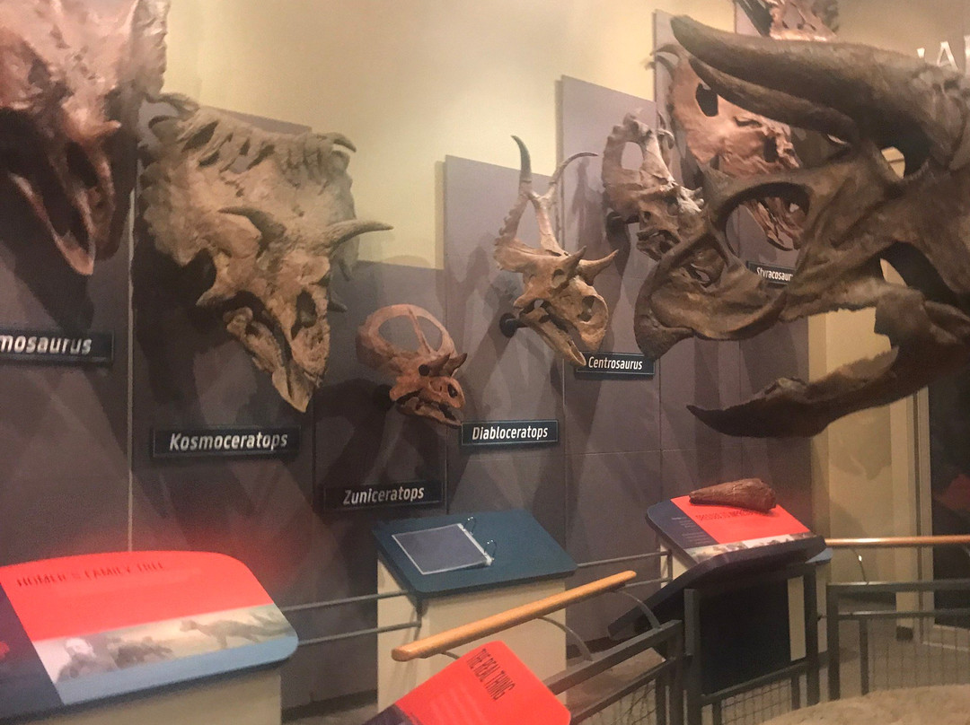 Burpee Museum of Natural History景点图片