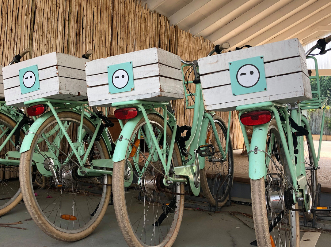 拜伦贵族度假村主图