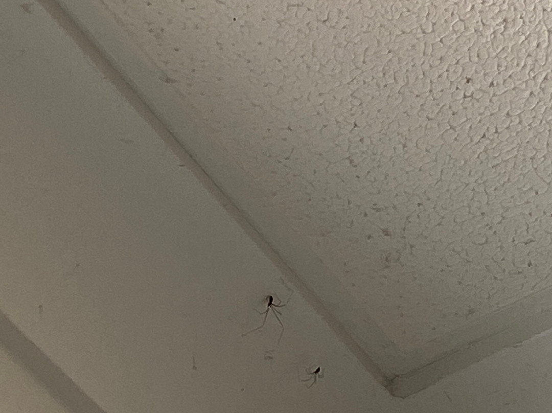 圣托里尼海滨酒店主图