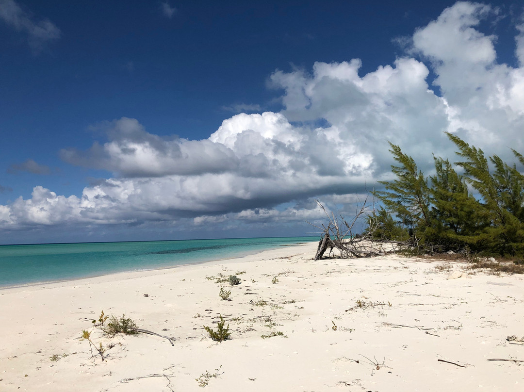 Crooked Island-Crooked Island必去景点