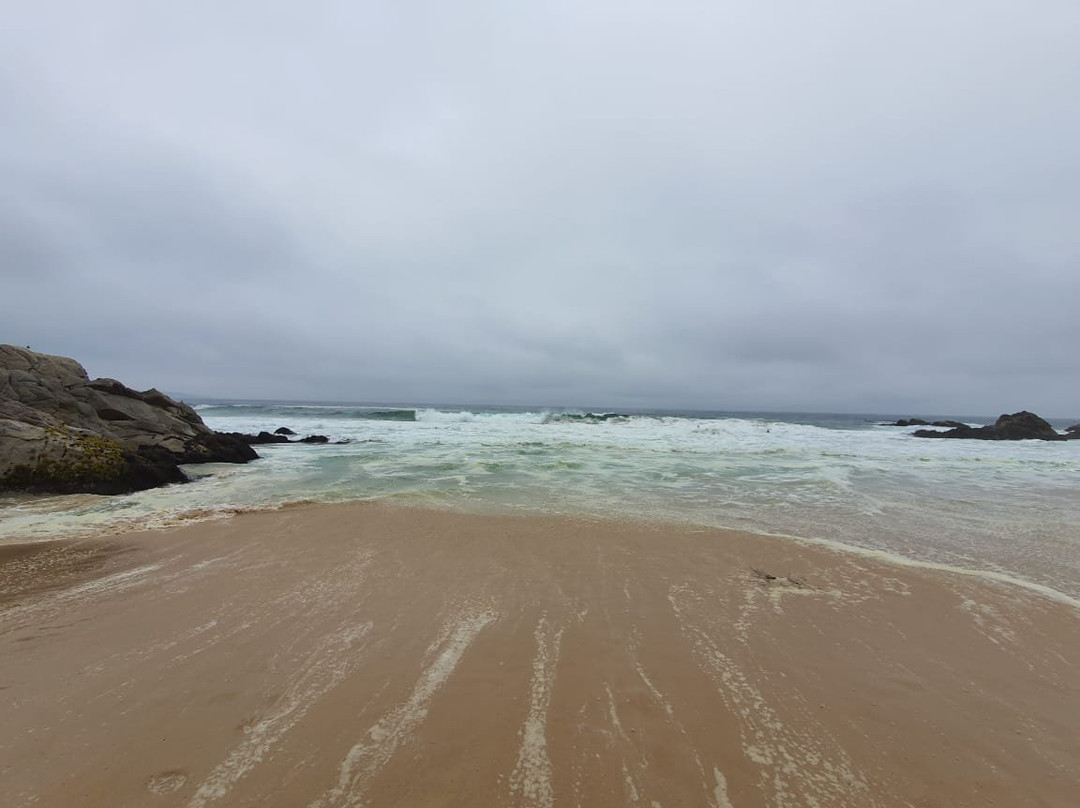 Playa Mirasol景点图片