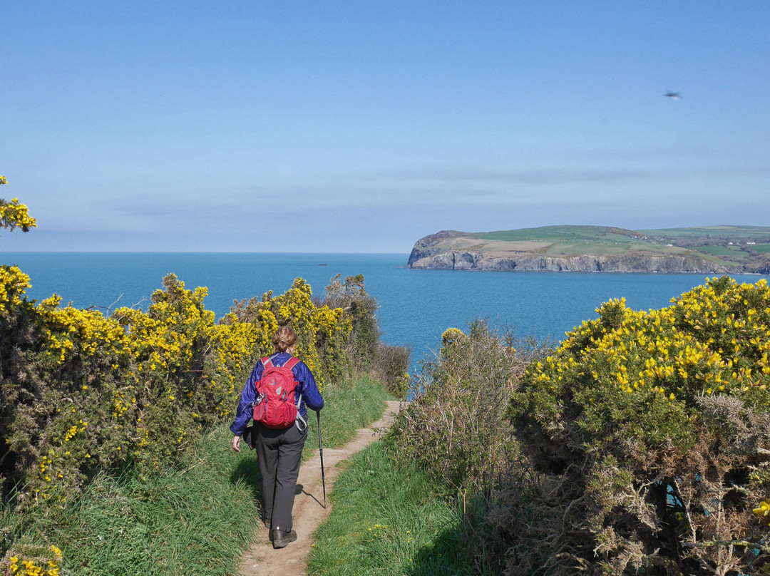 Pembrokeshire Coast Path景点图片