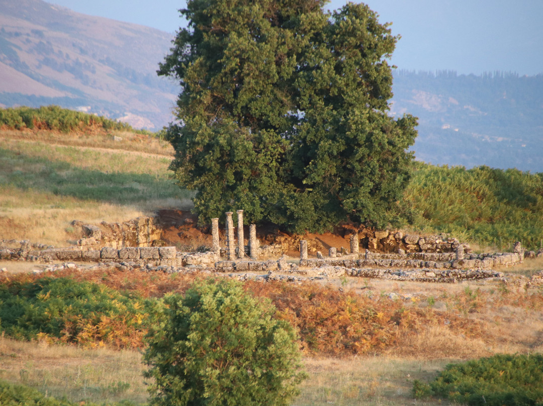 Antigonea Archaeological Park-吉诺卡斯特必去景点