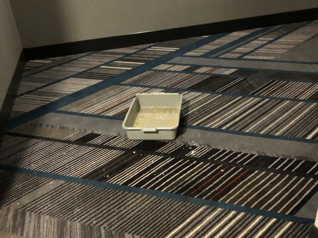 福朋喜来登圣凯瑟琳尼亚加拉大套房酒店主图