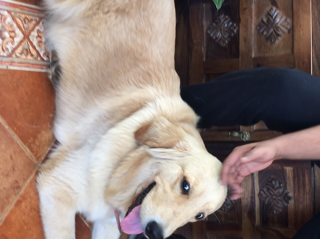 Nyrit Villa Homestay主图