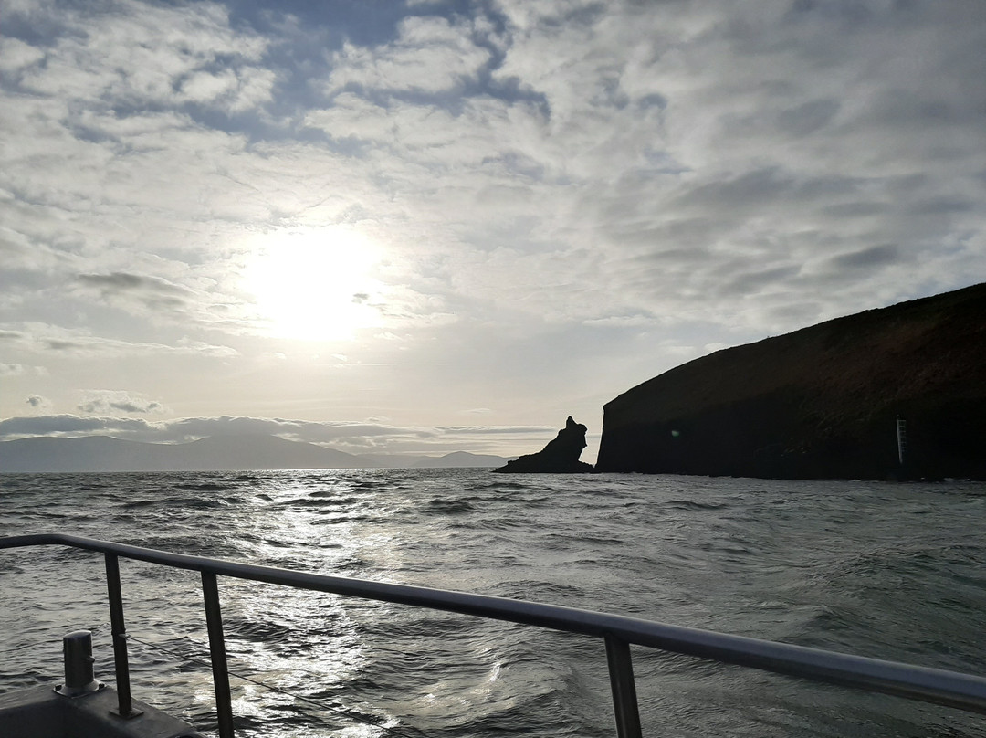 Dingle Ahoy景点图片