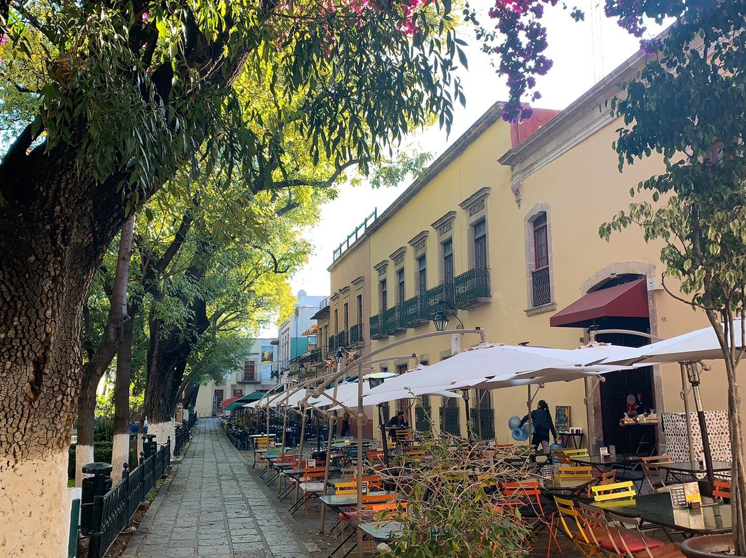 玫瑰花园-莫雷利亚必去景点