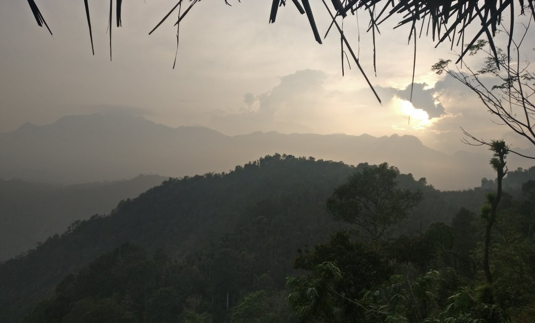 Aranyakam Homestay主图