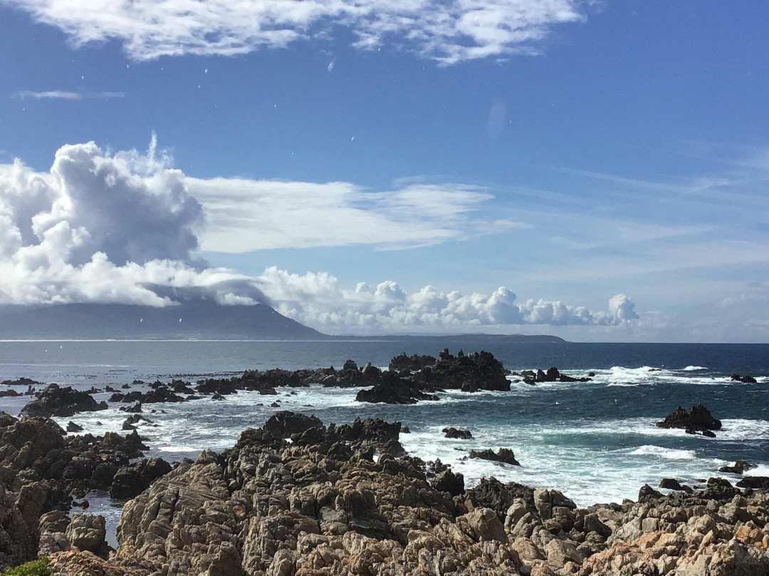 Home Grown SA Tours-小月必去景点