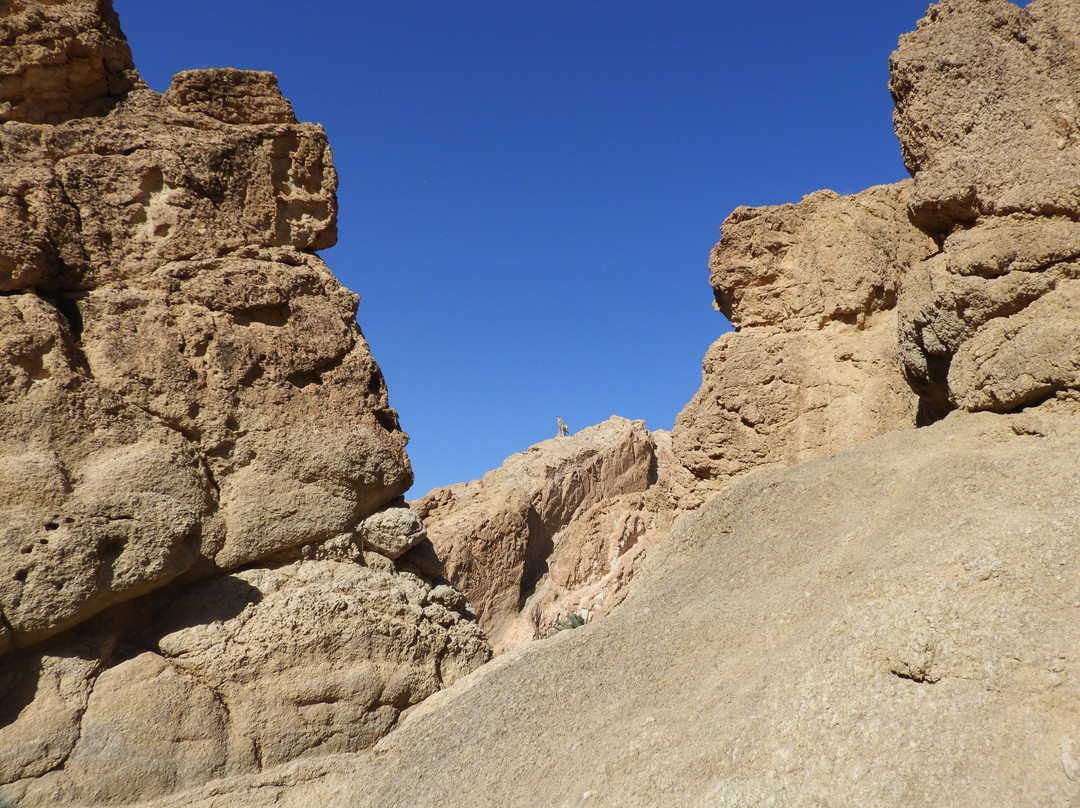 Sidi Bouhlel Canyon景点图片