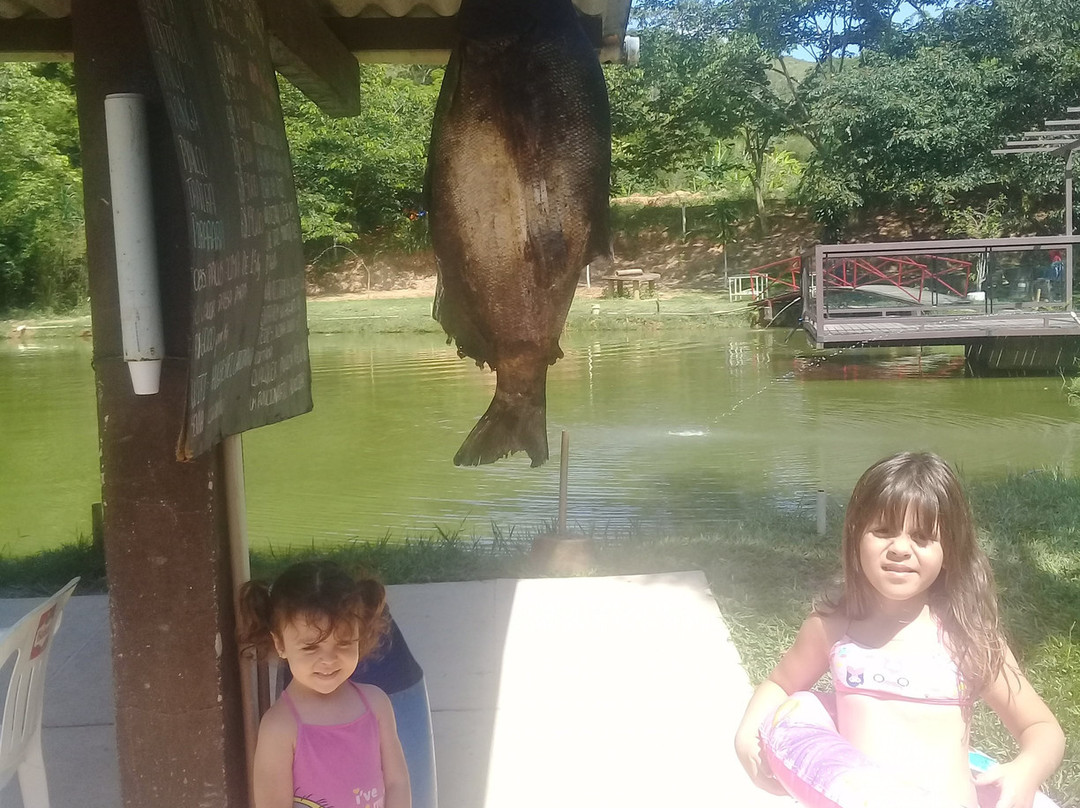 Pesque Pague Pousada do Carlinho主图