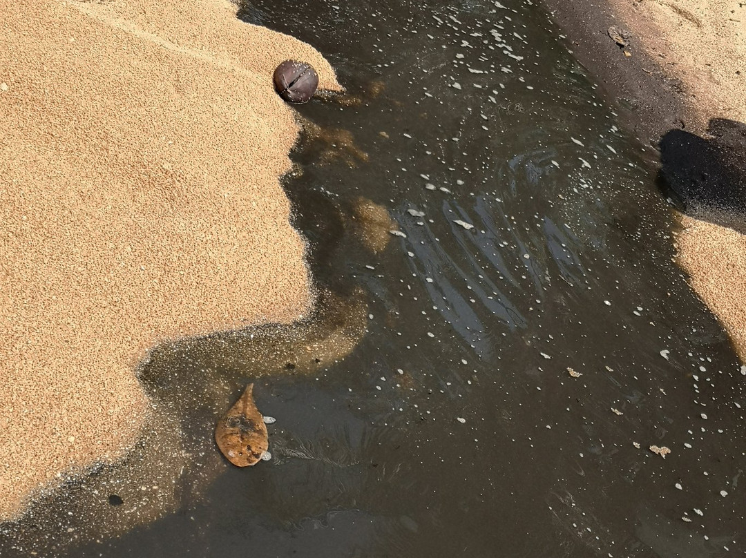 Beruwala Beach景点图片