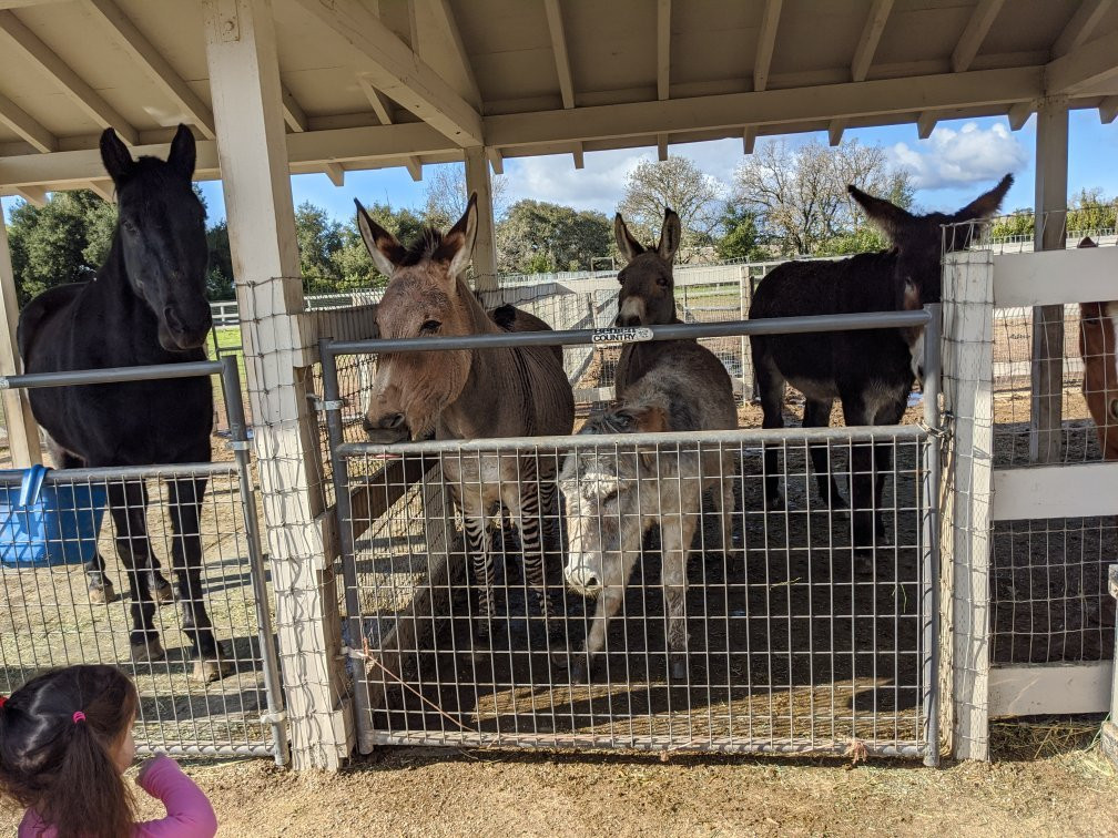 Seein' Spots Farm-索尔万必去景点