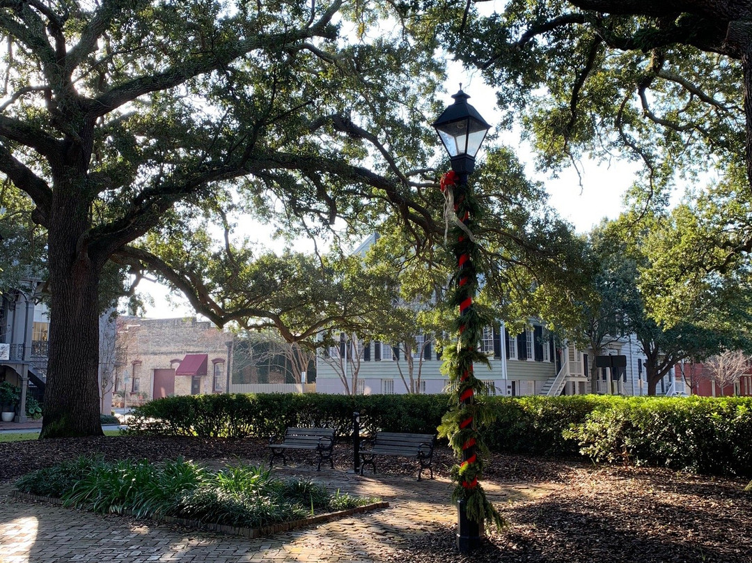 Oglethorpe Square景点图片