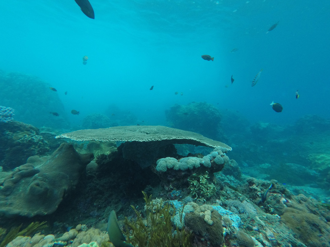 Bluelagoon Paradise Adventure-努沙切宁安岛必去景点