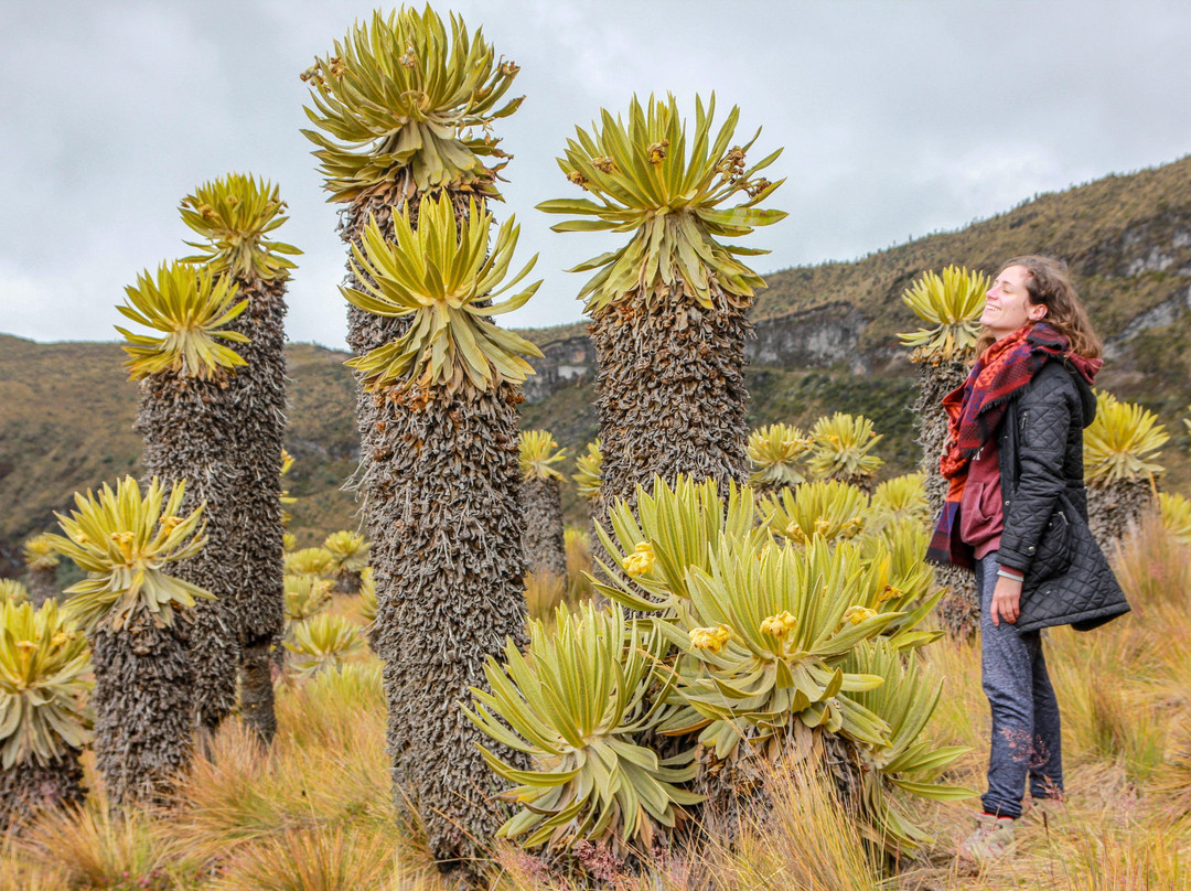Backpackers Colombia Travel-Manizales必去景点