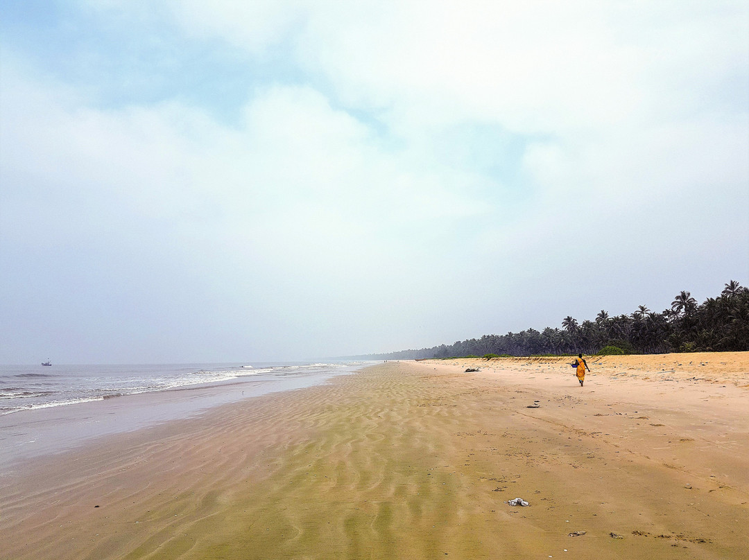 Aryaan Resort & Residences主图