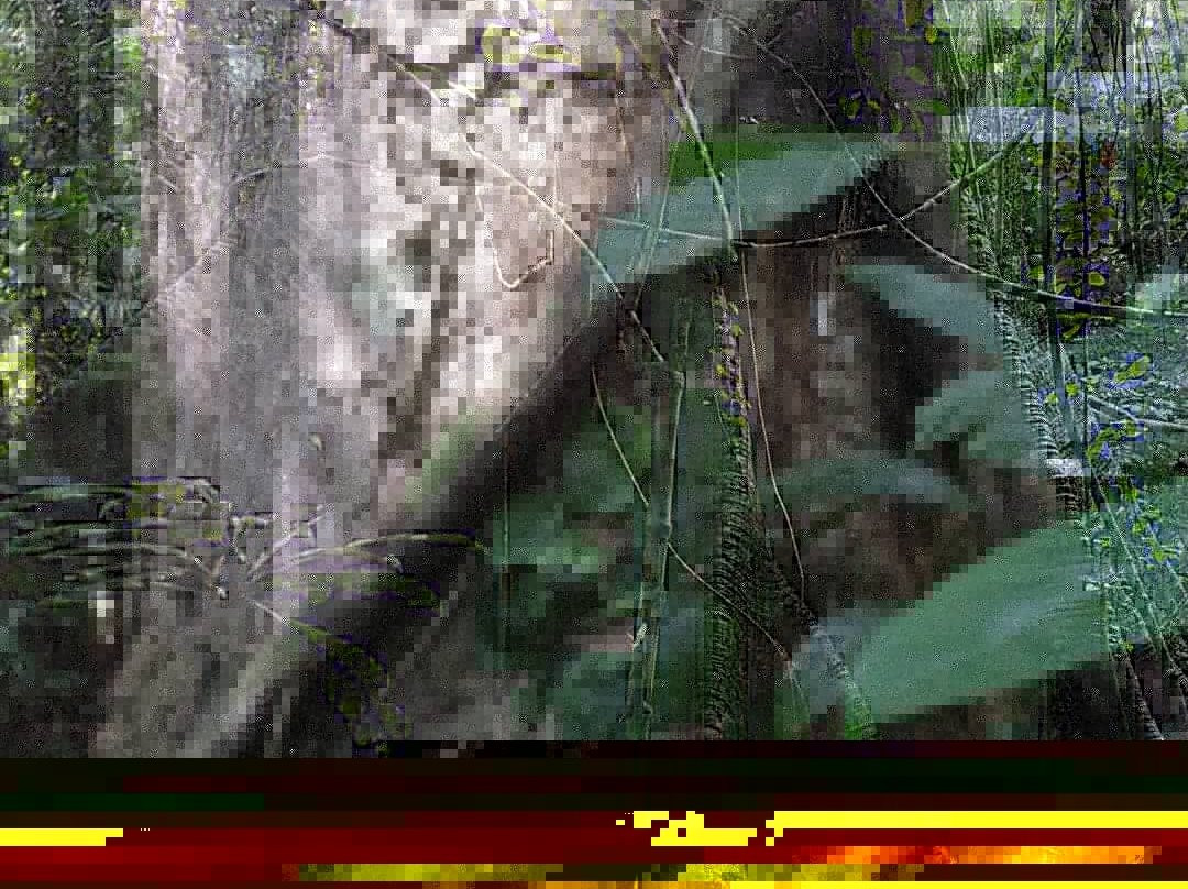 Ilha do Amor-Alter do Chao必去景点