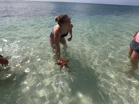 Blue Ocean Tours-乔治城必去景点