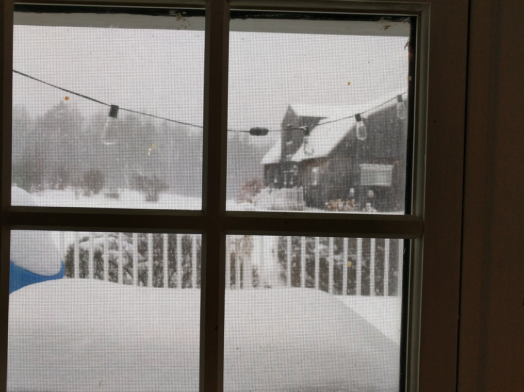 Stonewall Farm Bed and Breakfast主图