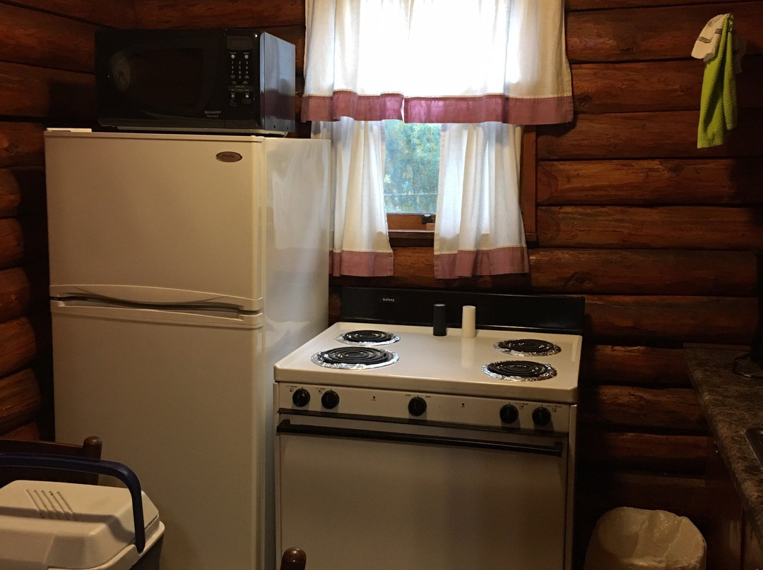 Janssen's Lodestone Motel & Cabins主图