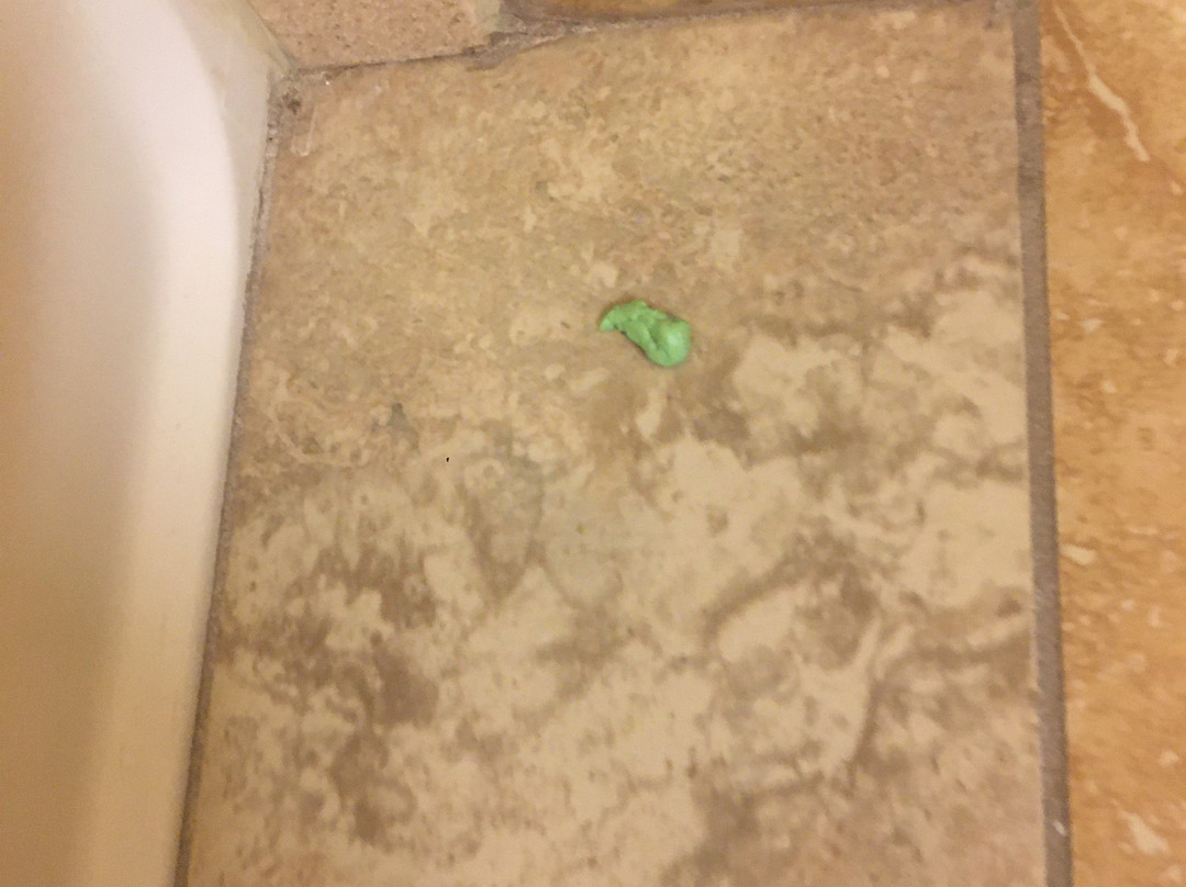 约克维尔汉普顿酒店主图