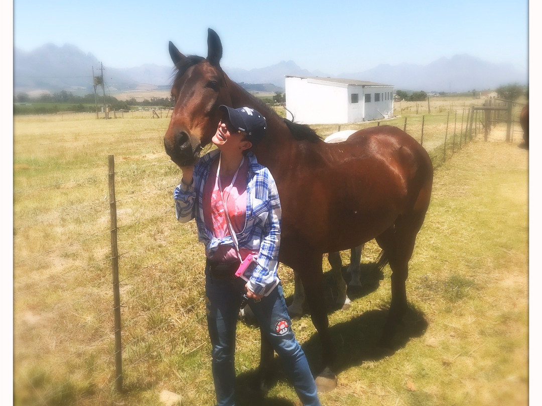 Horse Rides at Pete's景点图片
