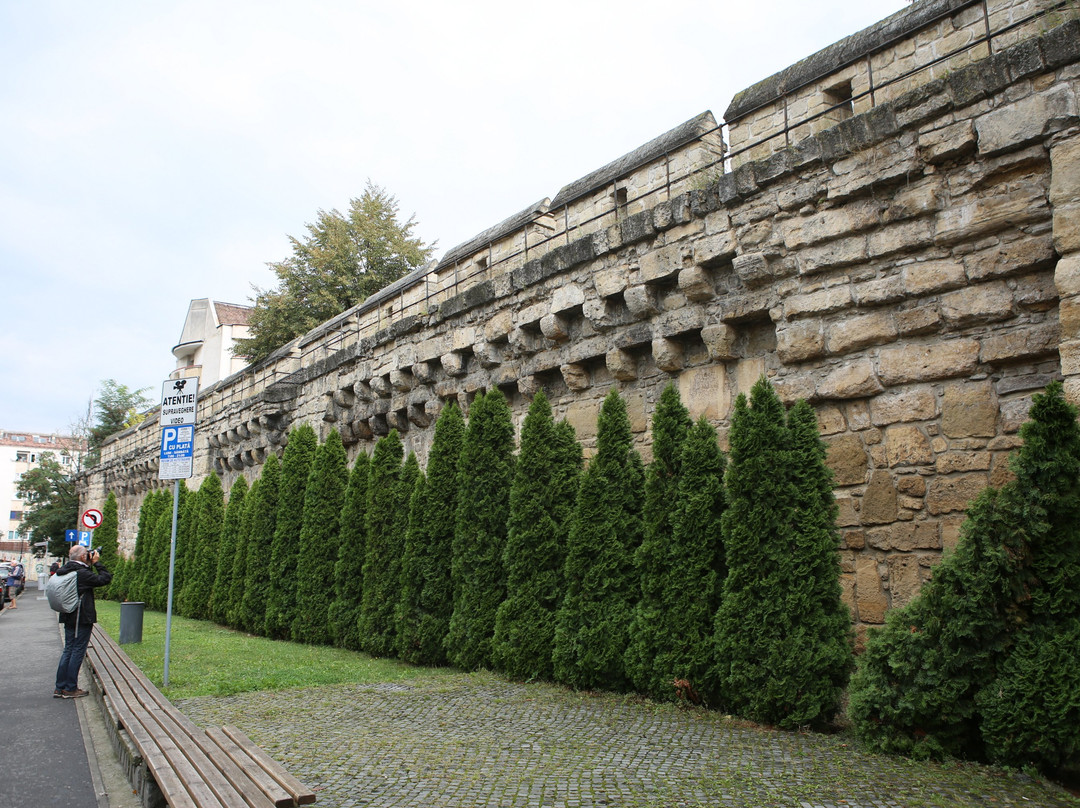 City Walls of Cluj景点图片