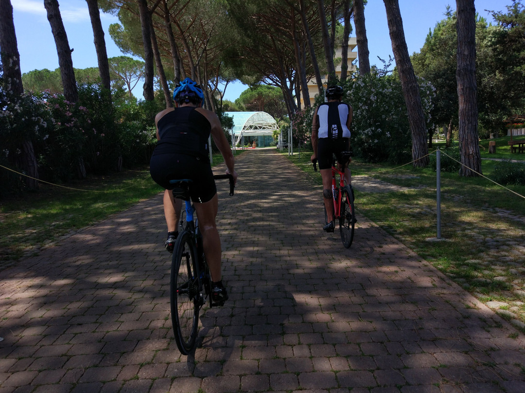 Tuscany Love Bike景点图片