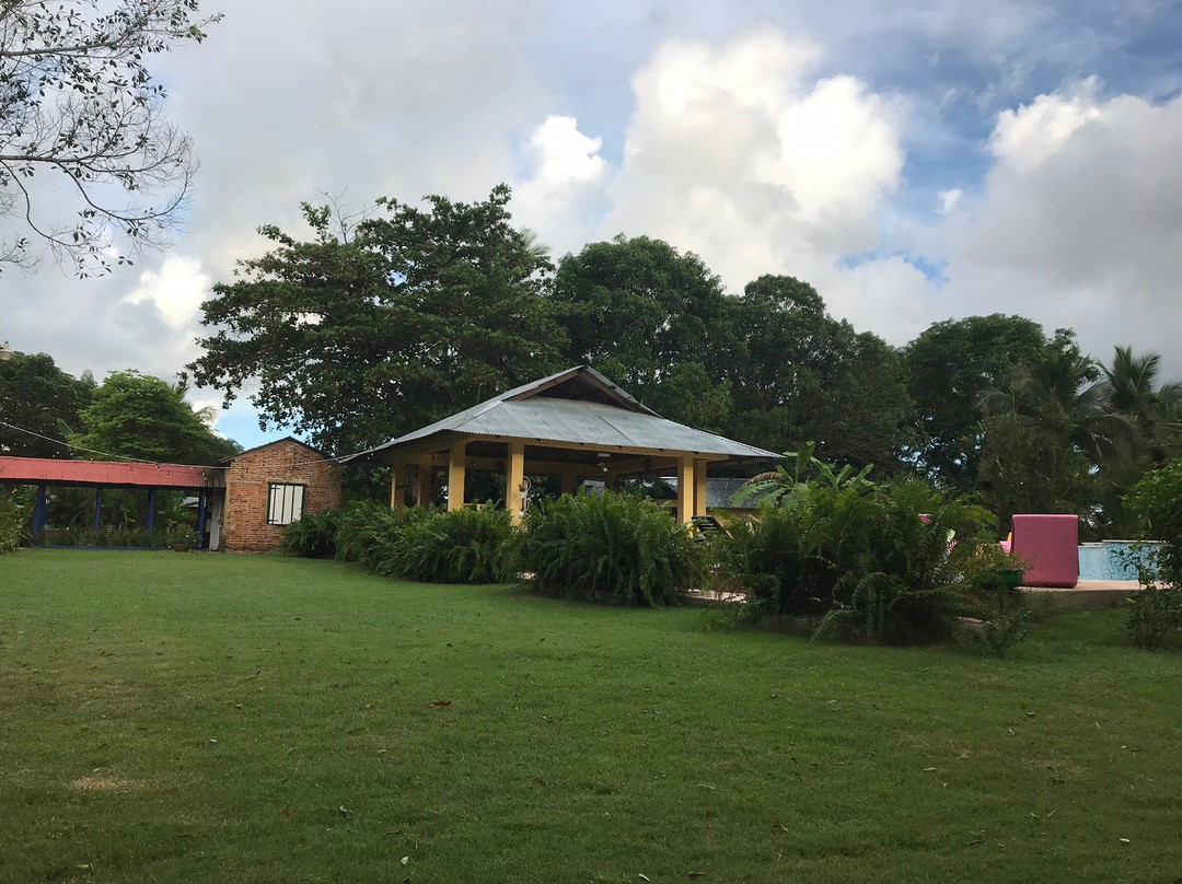 Campito Loving主图