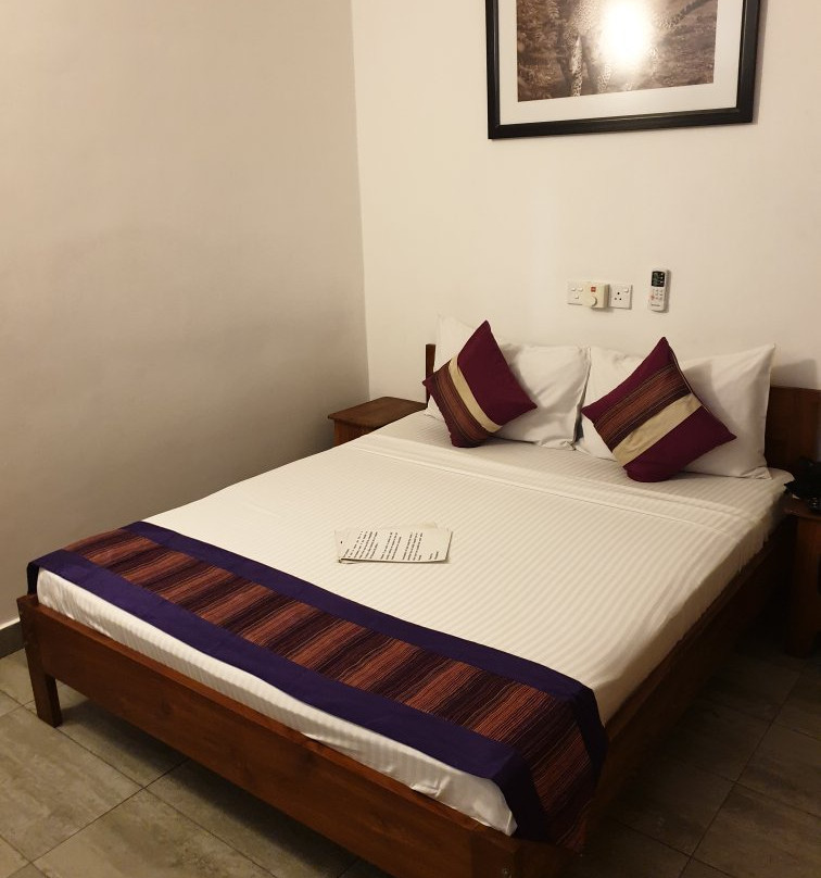 The Villa In Lavinia主图