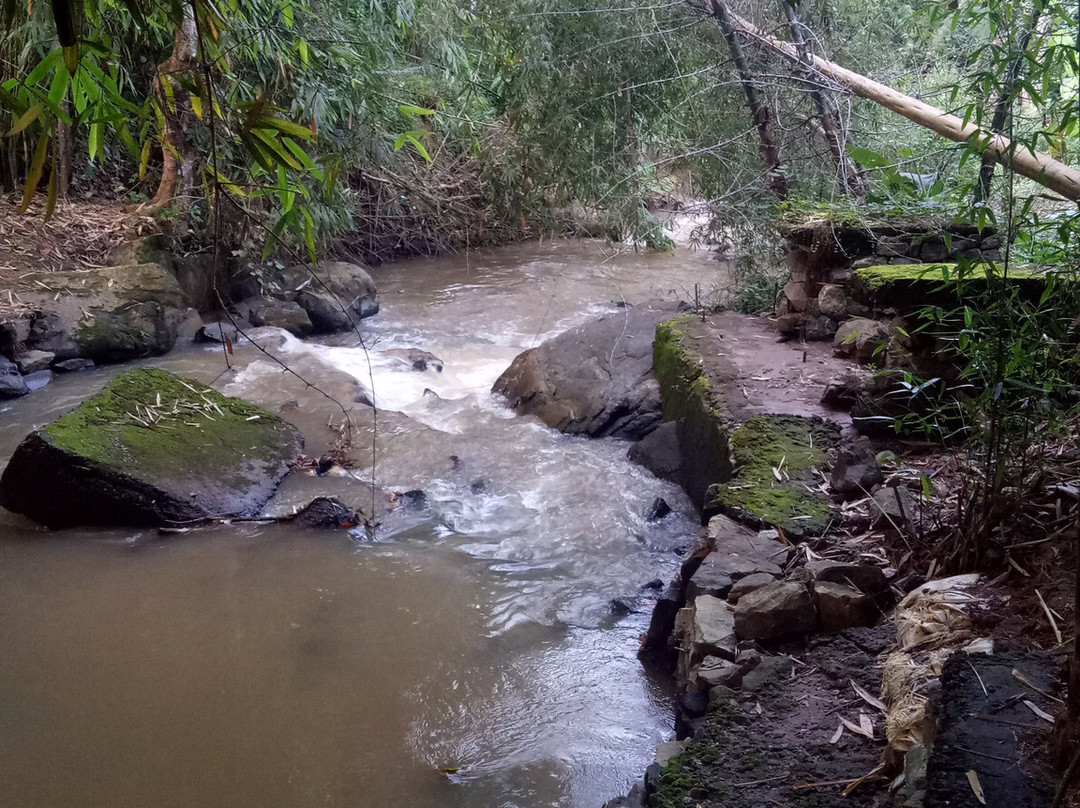 Bamboo Creek Resort主图