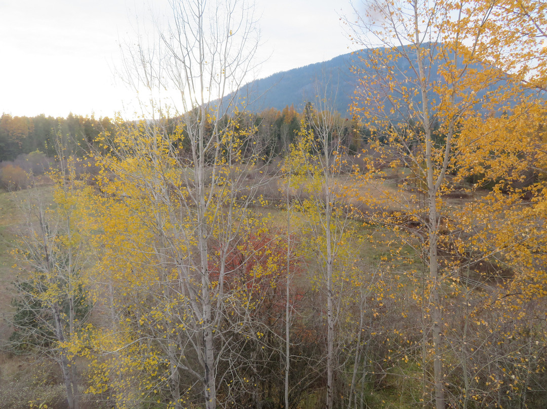 Best Western Plus Ponderay Mountain Lodge主图