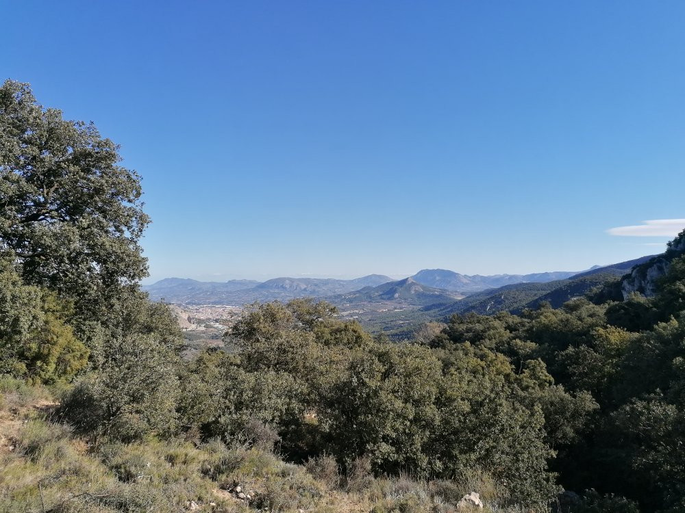 Parque Natural del Carrascal de la Font Roja景点图片