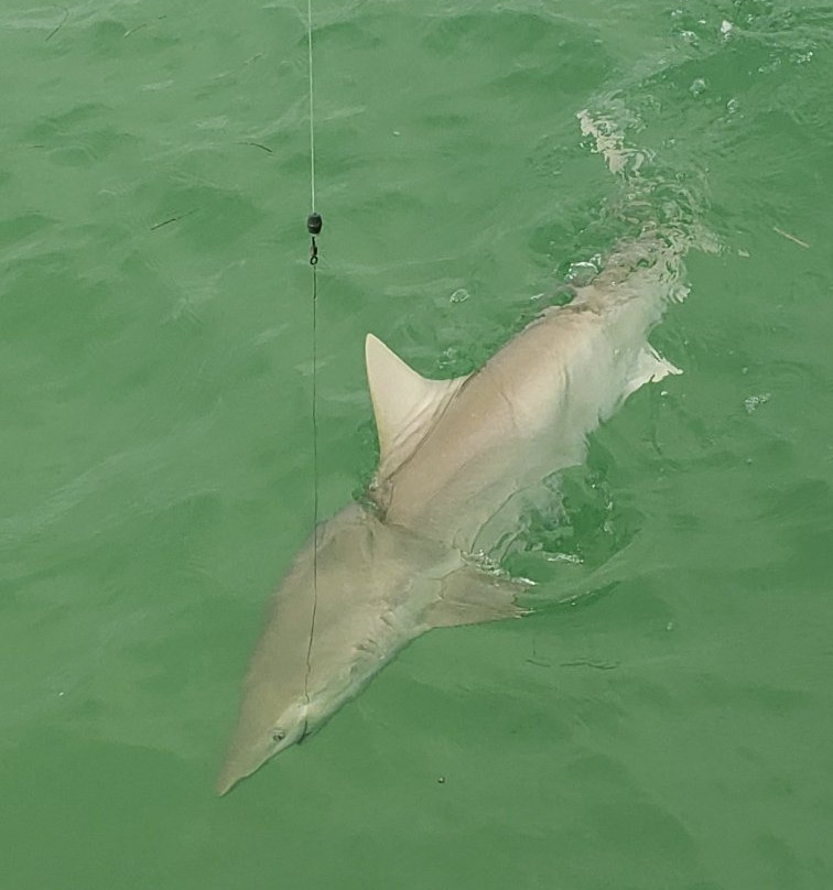 Captain Mel's Sportfishing Charters-基韦斯特必去景点