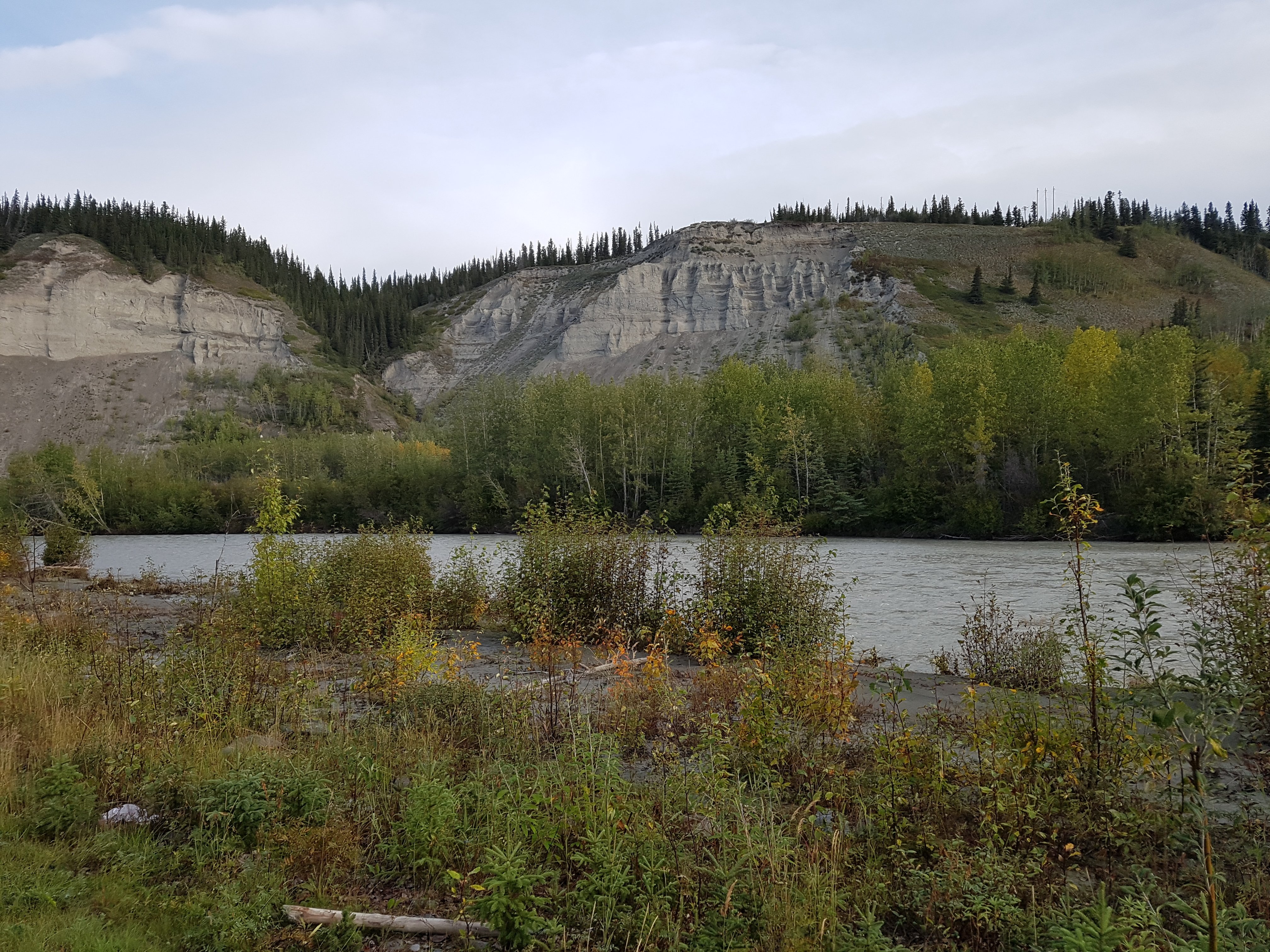 Gakona Lodge & Trading Post-泳池