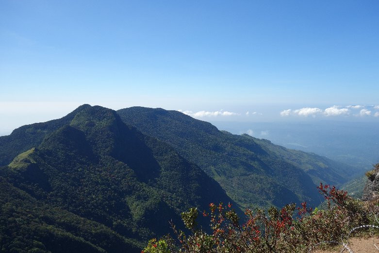 EW Lanka Tours-康提必去景点